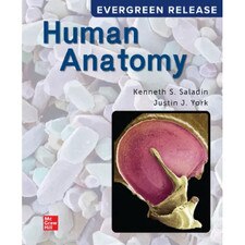2 P/S Loose Leaf Human Anatomy (2024 release) w/ Connect