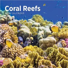 2024 Coral Reefs Wall Calendar