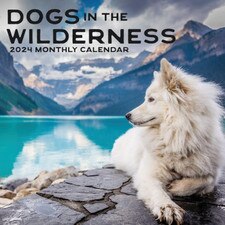 2024 Dogs in the Wilderness Wall Calendar