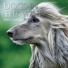 2024 Dogs in the Wind Wall Calendar