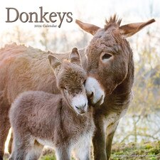 2024 Donkeys* Wall Calendar
