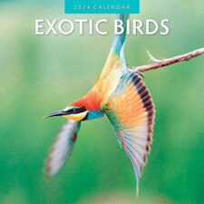 2024 Exotic Birds Wall Calendar