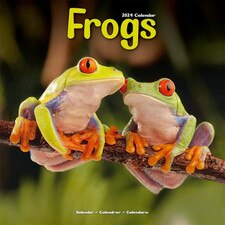 2024 Frogs Wall Calendar