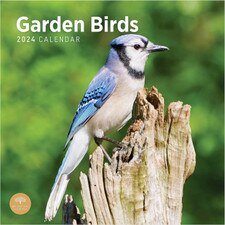 2024 Garden Birds Wall Calendar