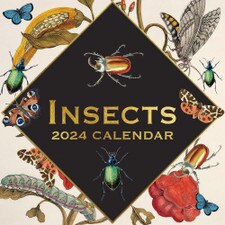 2024 Insects Wall Calendar