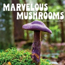 2024 Mushrooms Wall Calendar