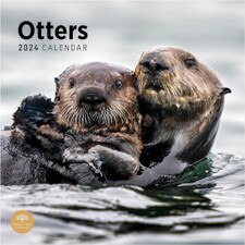 2024 Otters Wall Calendar