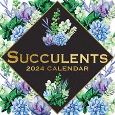 2024 Succulents Wall Calendar