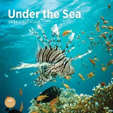 2024 Under the Sea Wall Calendar