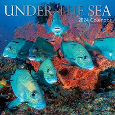 2024 Under the Sea Wall Calendar