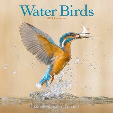 2024 Water Birds (NEW)* Wall Calendar