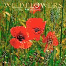 2024 Wildflowers Wall Calendar