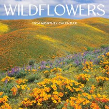 2024 Wildflowers Wall Calendar