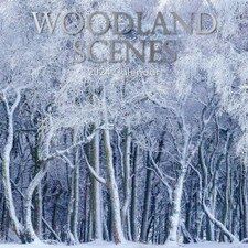 2024 Woodland Scenes Wall Calendar