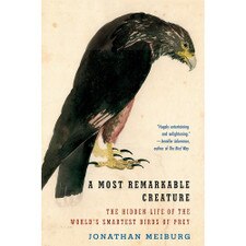A Most Remarkable Creature