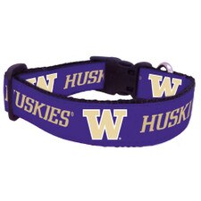 All Star Dogs Washington Huskies Pet Collar