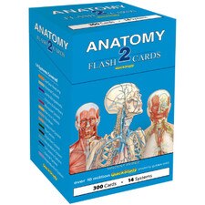 Anatomy 2 Flash Cards