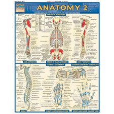 Anatomy 2 Bar Chart