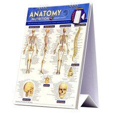 Anatomy & Nutrition for Body & Health Easel