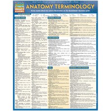 Anatomy Terminology Bar Chart