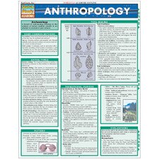 Anthropology Bar Chart