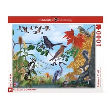 Autumn Trail 1000 Piece Jigsaw Puzzle