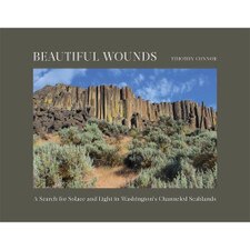 Beautiful Wounds