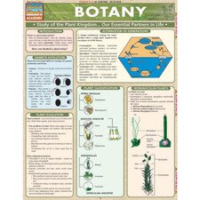 Botany Bar Chart