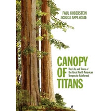 Canopy of Titans
