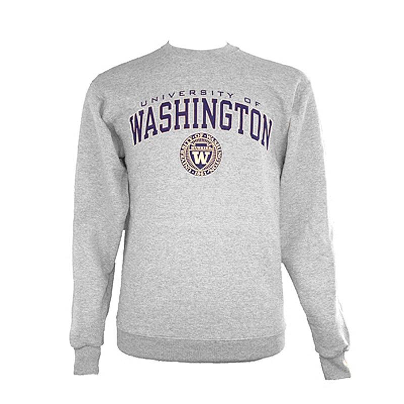 university of washington champion hoodie