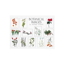 Crane Creek Botanical Images Boxed Notecards