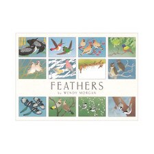 Crane Creek Feathers Boxed Notecards