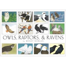 Crane Creek Owls Raptors & Ravens Boxed Notecards