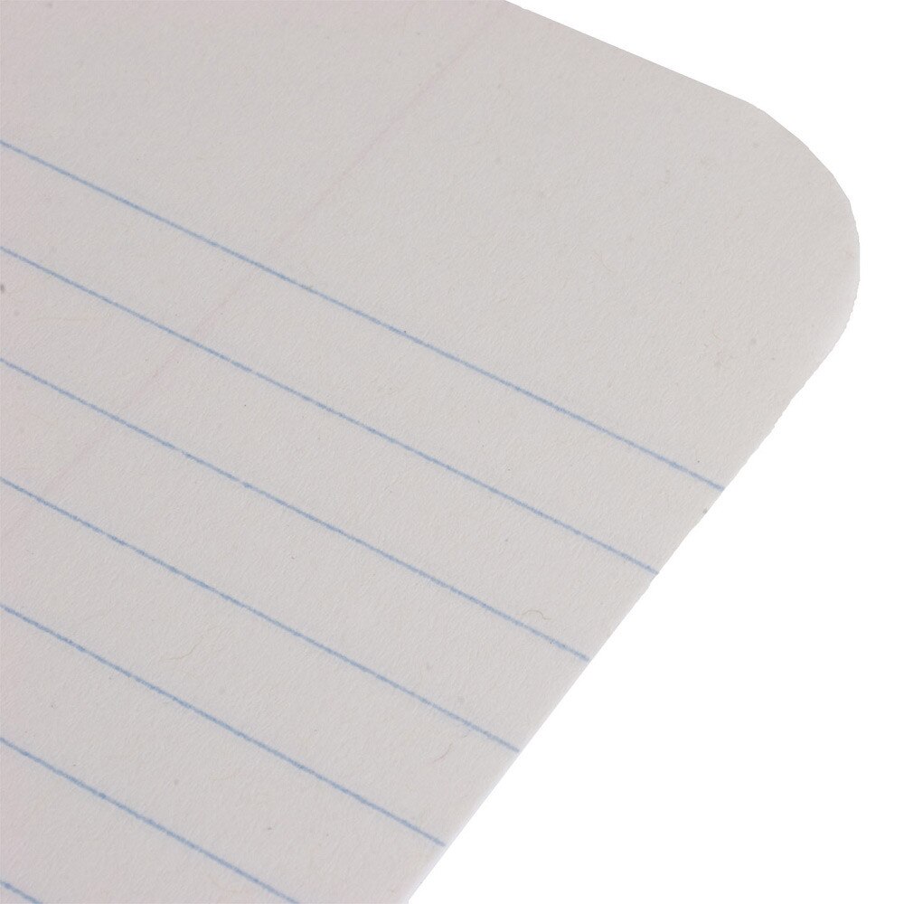 Decomposition Book Sea Turtles Wirebound Notebook Paper