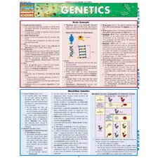 Genetics Bar Chart