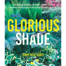 Glorious Shade