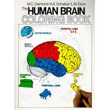 Human Brain Coloring Book