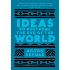 Ideas to Postpone the End of the World (tr Doyle)