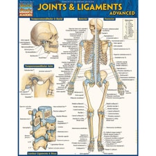 Joints & Ligaments Advanced Bar Chart