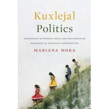 Kuxlejal Politics