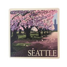 Lantern Press Seattle Campus Cherry Blossoms Coaster