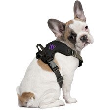 Little Earth Black W Washington Huskies Front Clip Pet Harness