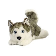 Aurora Miyoni Husky Lying Plush 11"
