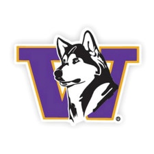 Neil Retro Dog Purple W Washington Huskies Recycled Wood Magnet