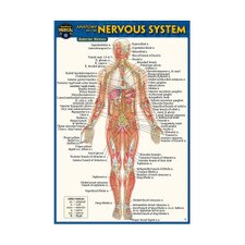 Nervous System Pocket Guide