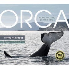 Orca: Shared Waters Shared Home