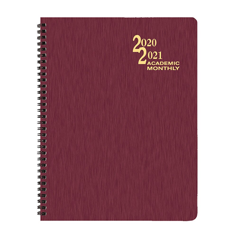 Payne Shimmer 2020 2021 Academic 8 5 X11 Monthly Planner