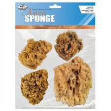Royal Brush Wool Sponge Set