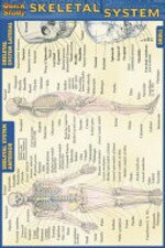 Skeletal System Pocket Guide