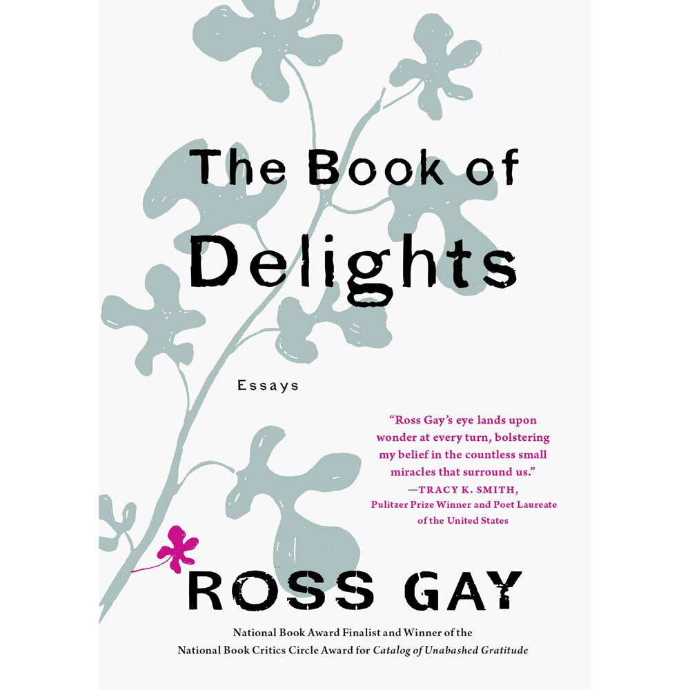 the book of delights essays by ross gay the book of delights essays by ross gay